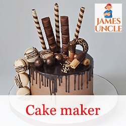 Cake maker Mrs. Sadhana Singha Roy in Basirhat College